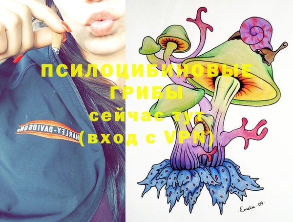 тгк Кодинск