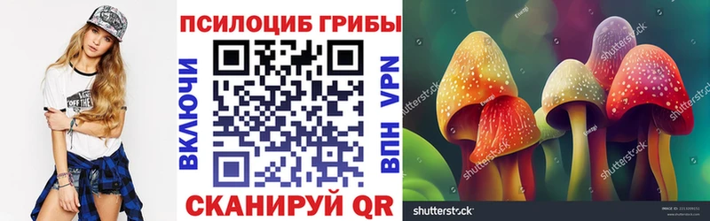Псилоцибиновые грибы MAGIC MUSHROOMS  сколько стоит  Катайск 